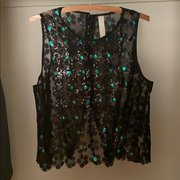 Free People sheer sequin top - Picture 1 of 4